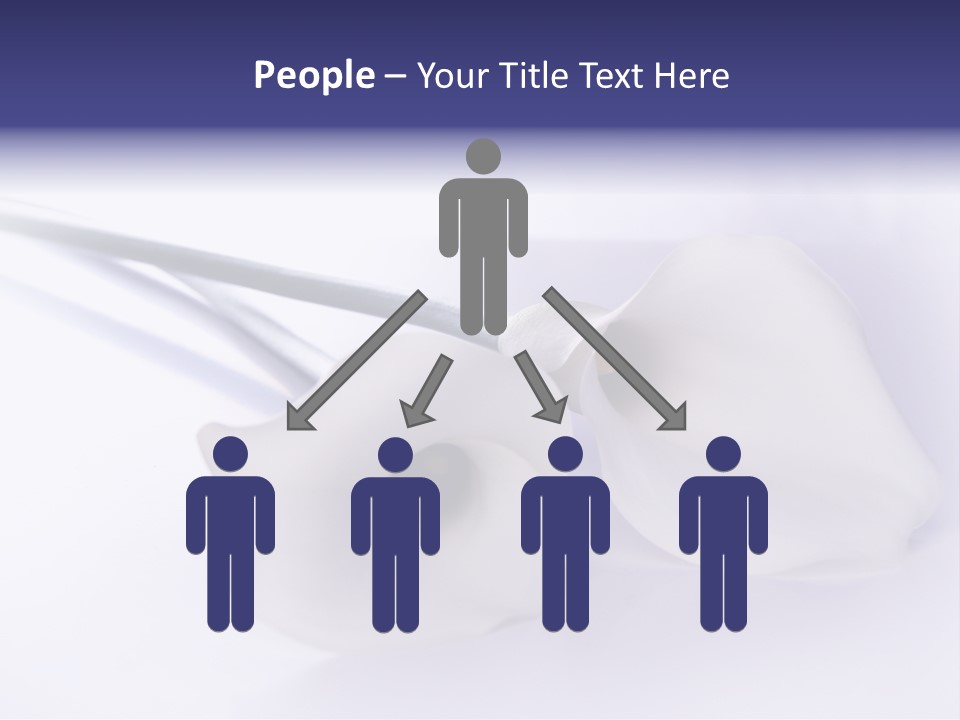 Liebe Formen Zantedeschia Aethiopica PowerPoint Template