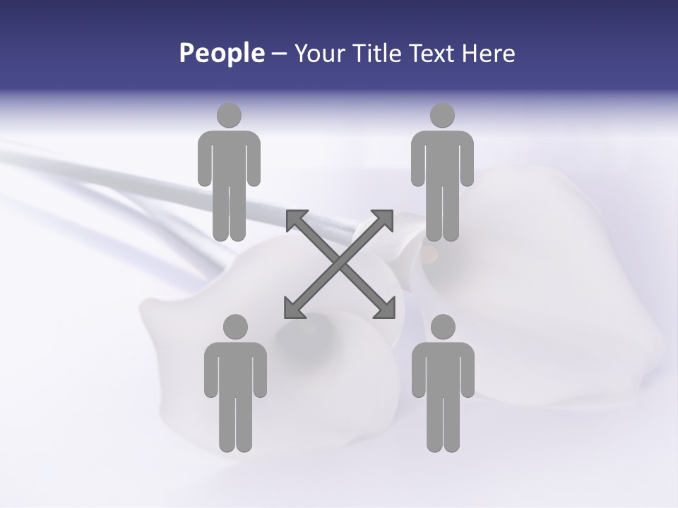 Liebe Formen Zantedeschia Aethiopica PowerPoint Template