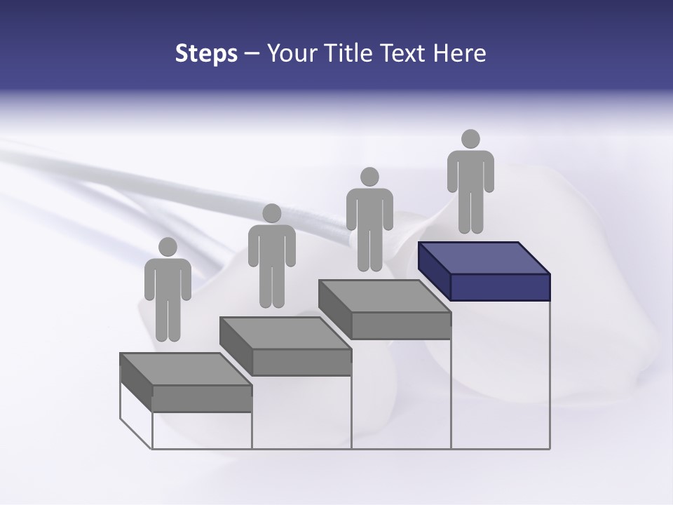 Liebe Formen Zantedeschia Aethiopica PowerPoint Template