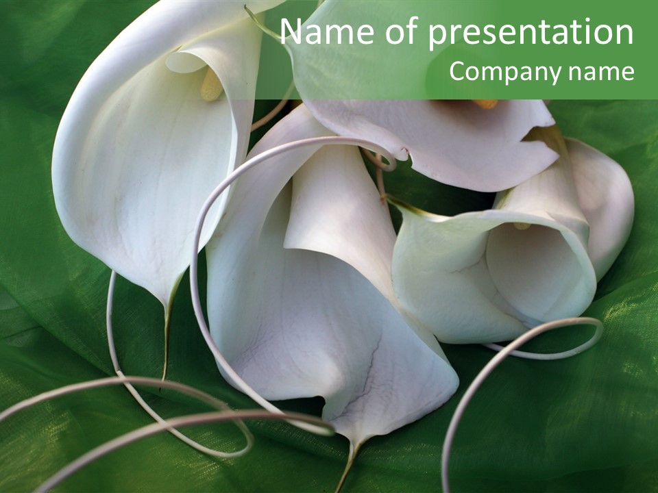 Blumenstrauss Muttertag Blumen PowerPoint Template