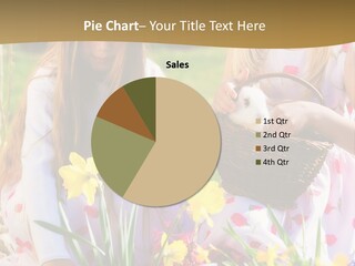 Found Easter Bunny Bunnies PowerPoint Template