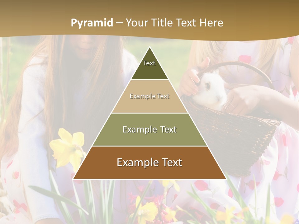 Found Easter Bunny Bunnies PowerPoint Template