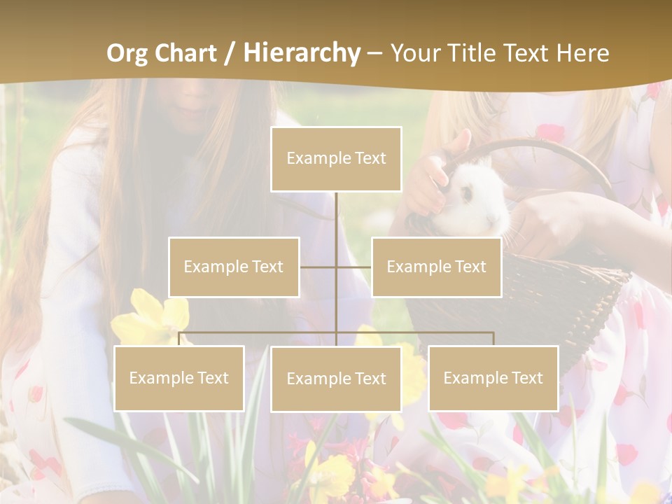 Found Easter Bunny Bunnies PowerPoint Template