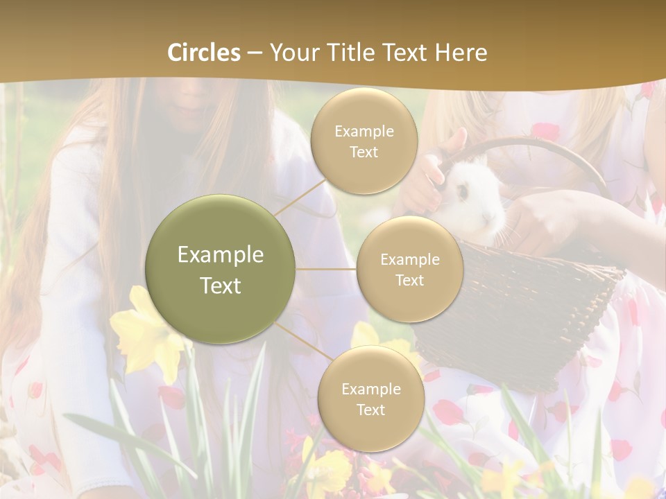 Found Easter Bunny Bunnies PowerPoint Template