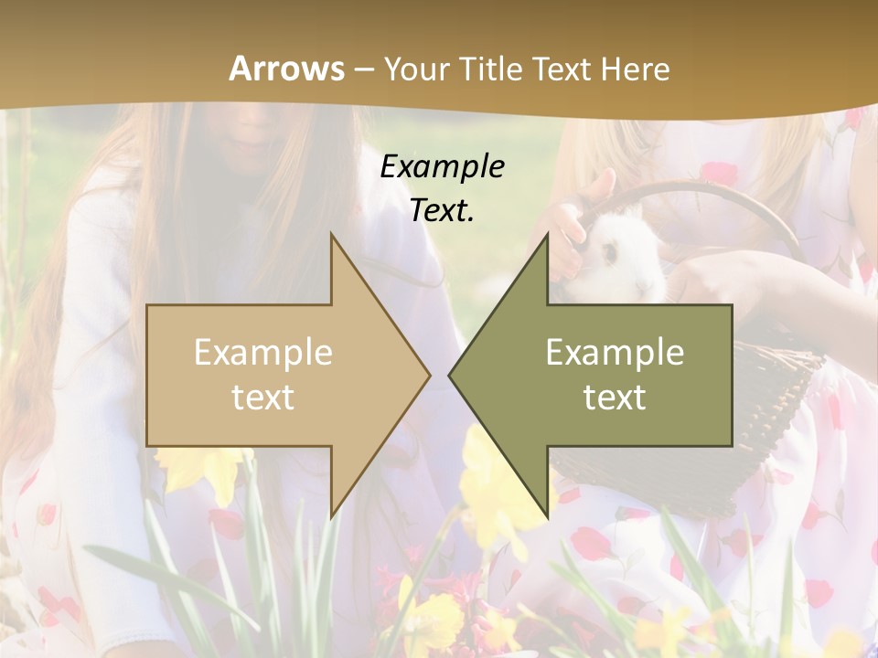 Found Easter Bunny Bunnies PowerPoint Template