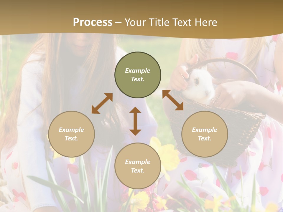 Found Easter Bunny Bunnies PowerPoint Template