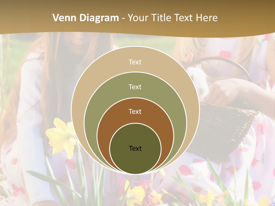 Found Easter Bunny Bunnies PowerPoint Template