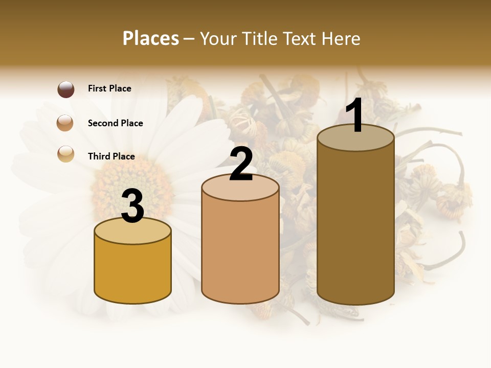 White Natural Nature PowerPoint Template