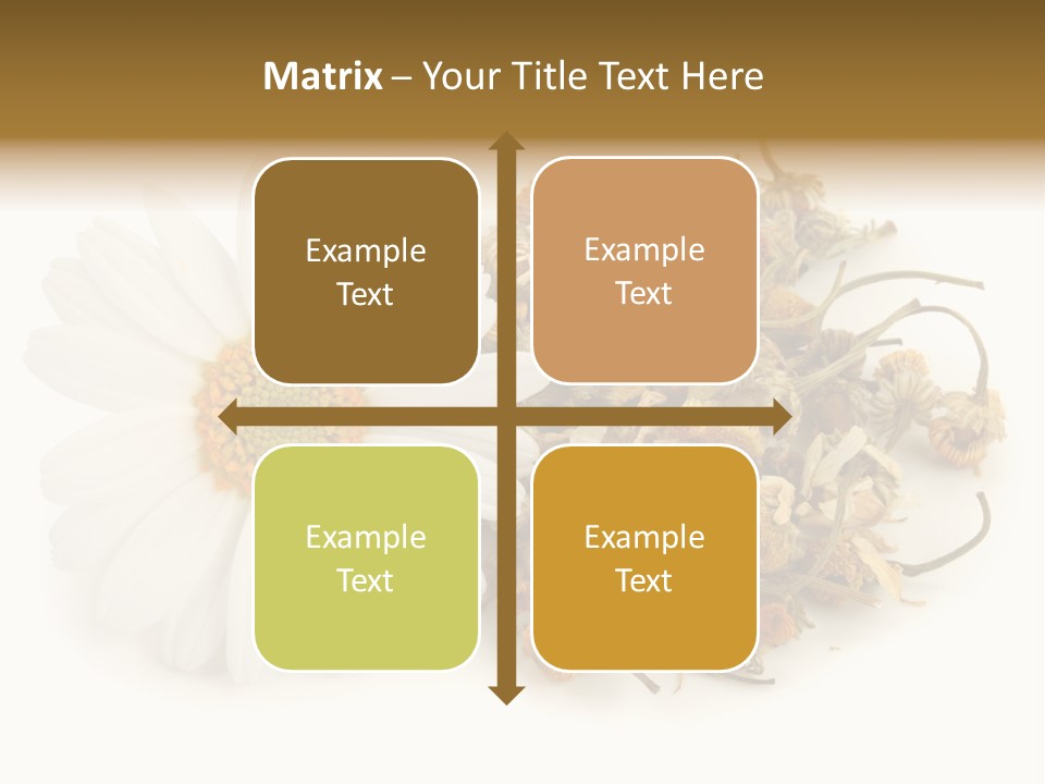 White Natural Nature PowerPoint Template