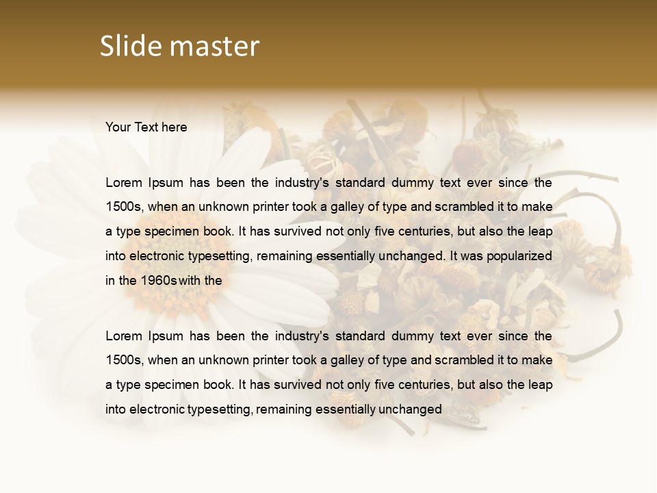 White Natural Nature PowerPoint Template