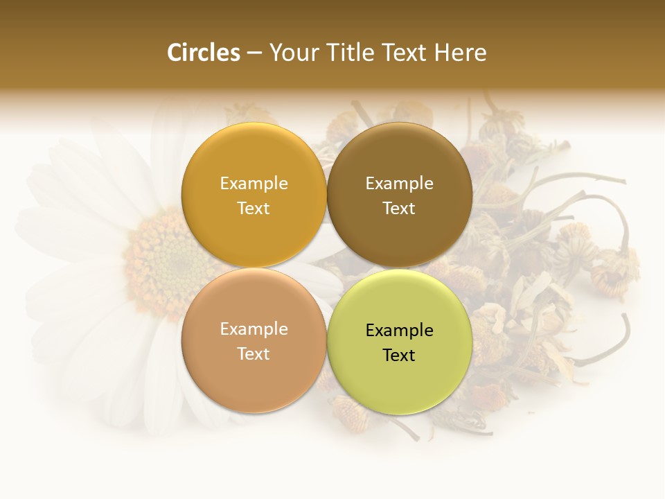 White Natural Nature PowerPoint Template