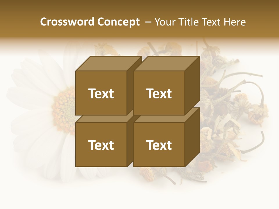 White Natural Nature PowerPoint Template