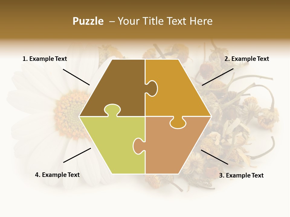 White Natural Nature PowerPoint Template