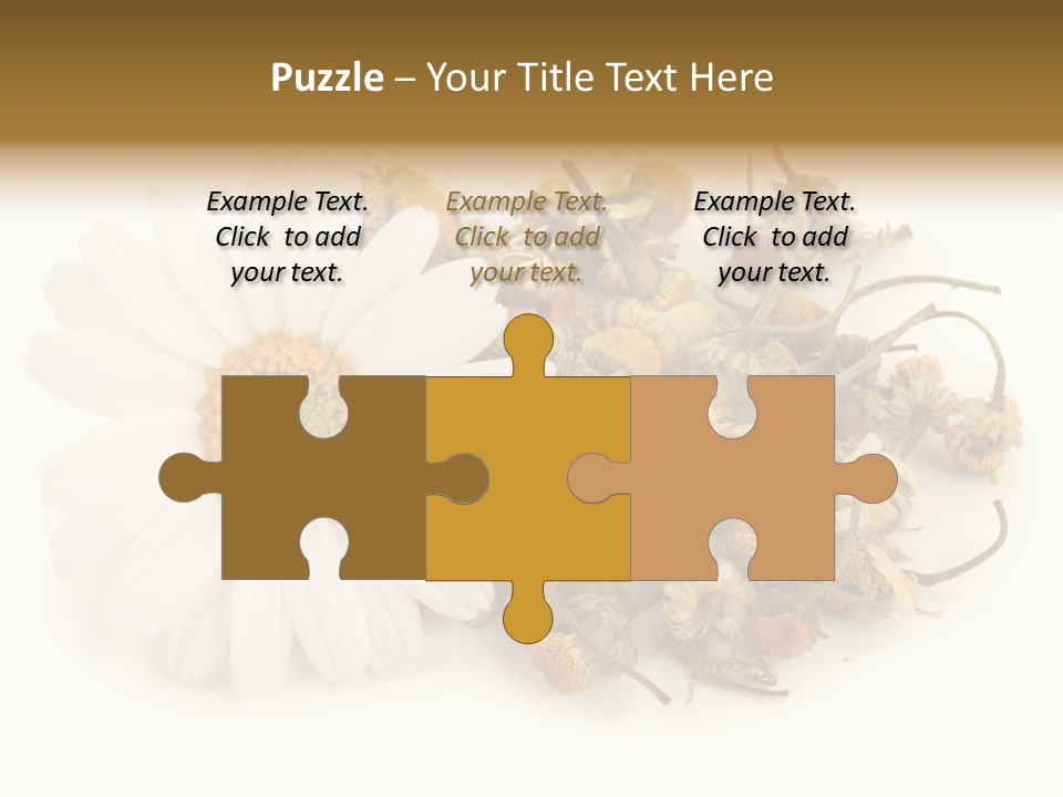 White Natural Nature PowerPoint Template