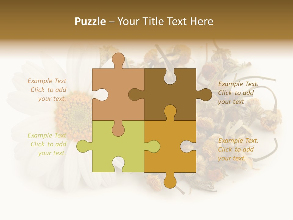 White Natural Nature PowerPoint Template