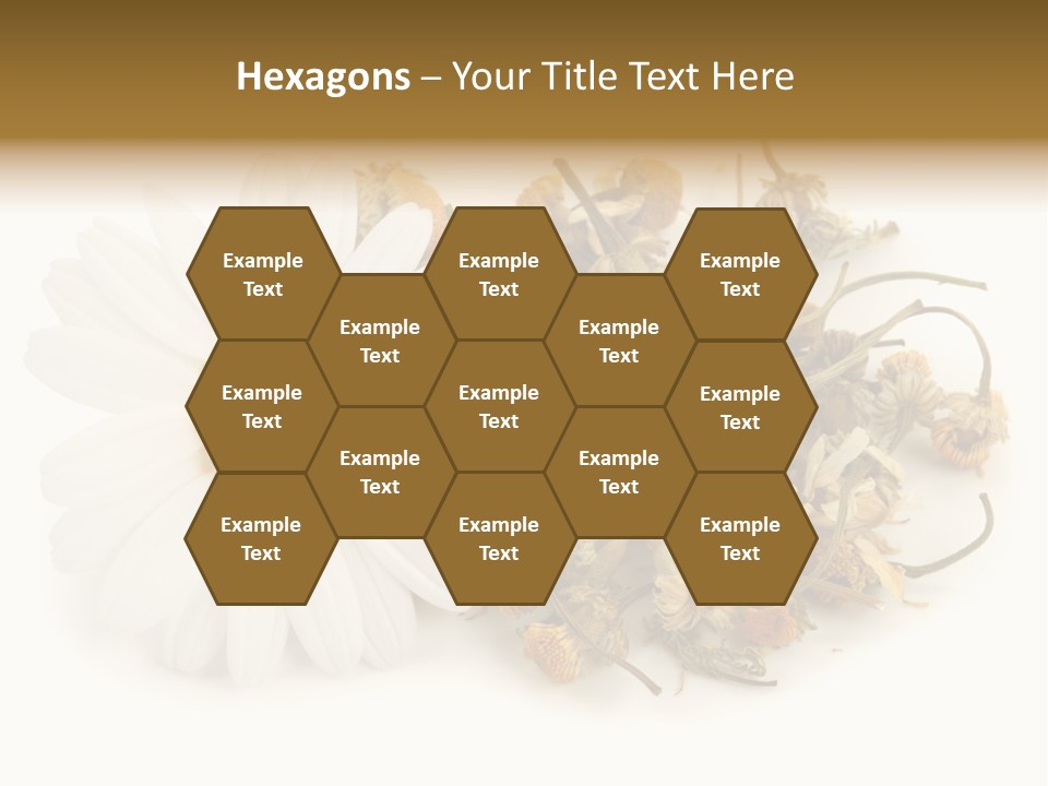 White Natural Nature PowerPoint Template