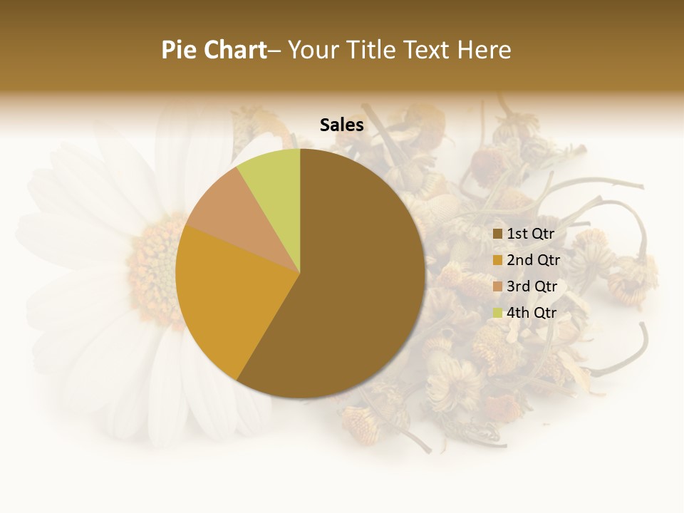 White Natural Nature PowerPoint Template