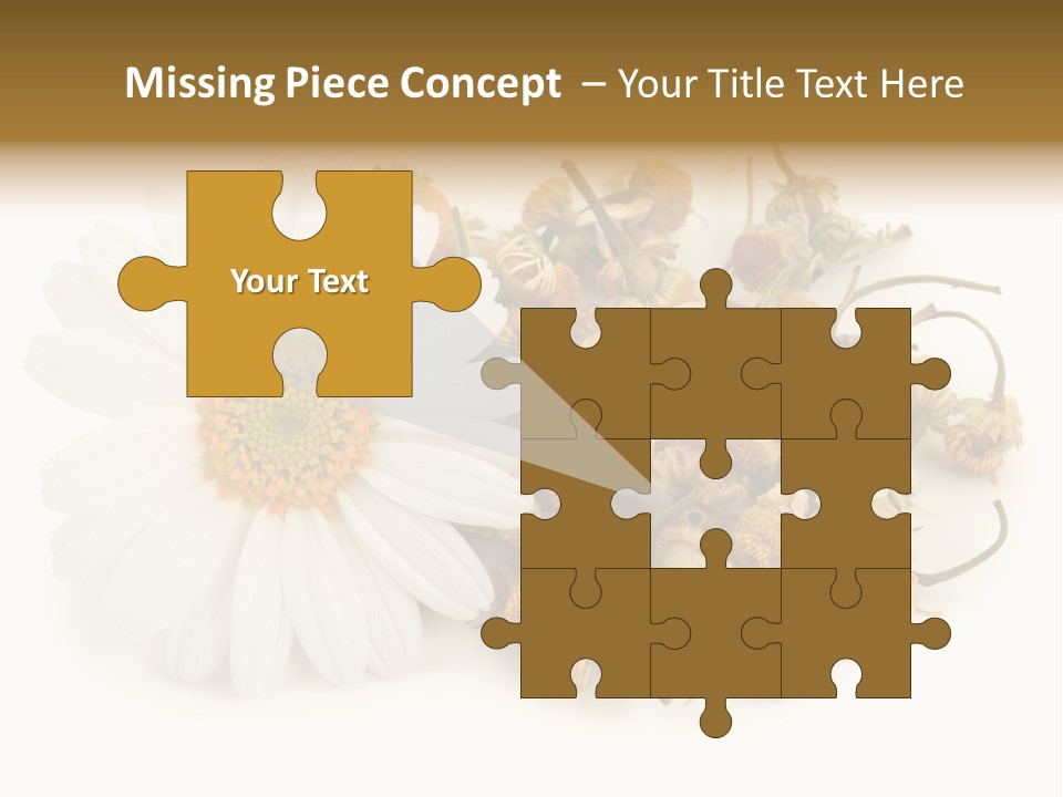 White Natural Nature PowerPoint Template