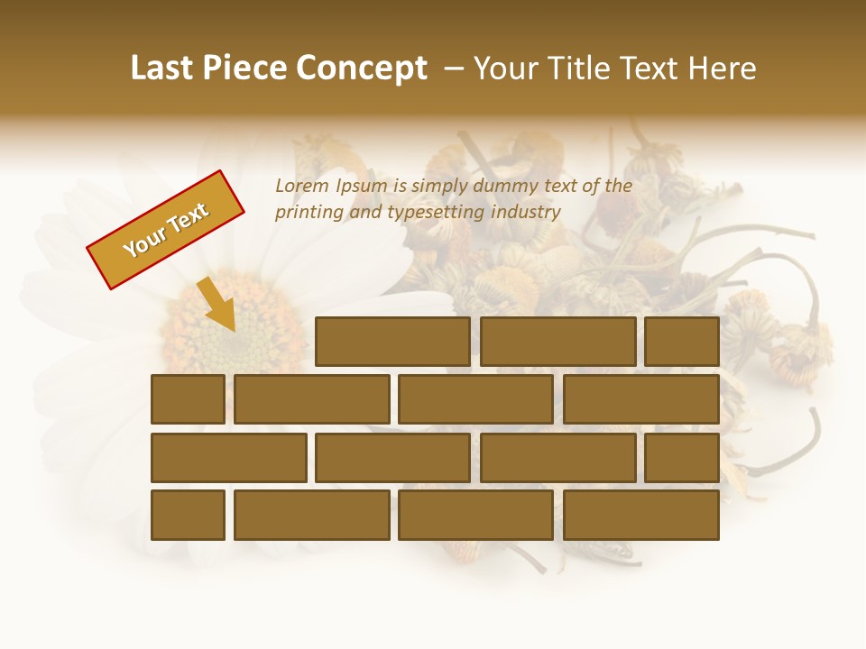 White Natural Nature PowerPoint Template