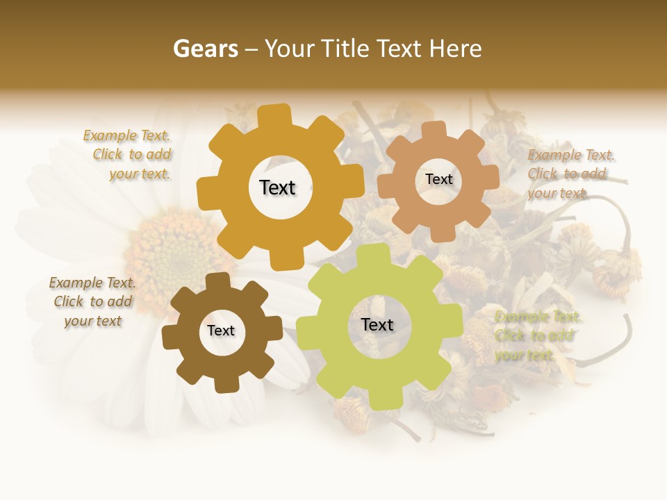 White Natural Nature PowerPoint Template