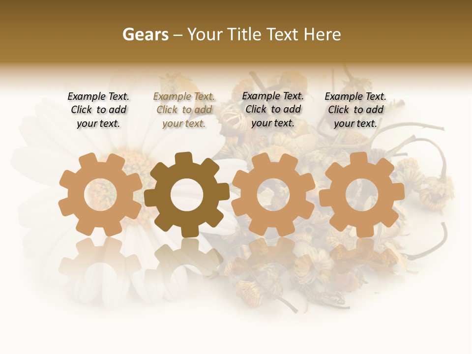 White Natural Nature PowerPoint Template