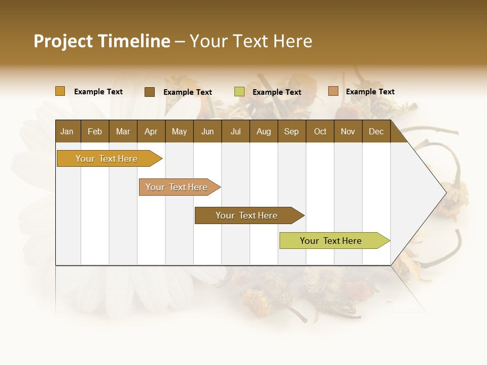White Natural Nature PowerPoint Template