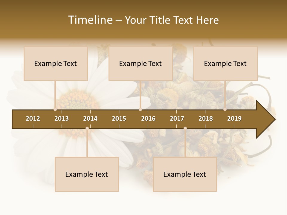 White Natural Nature PowerPoint Template