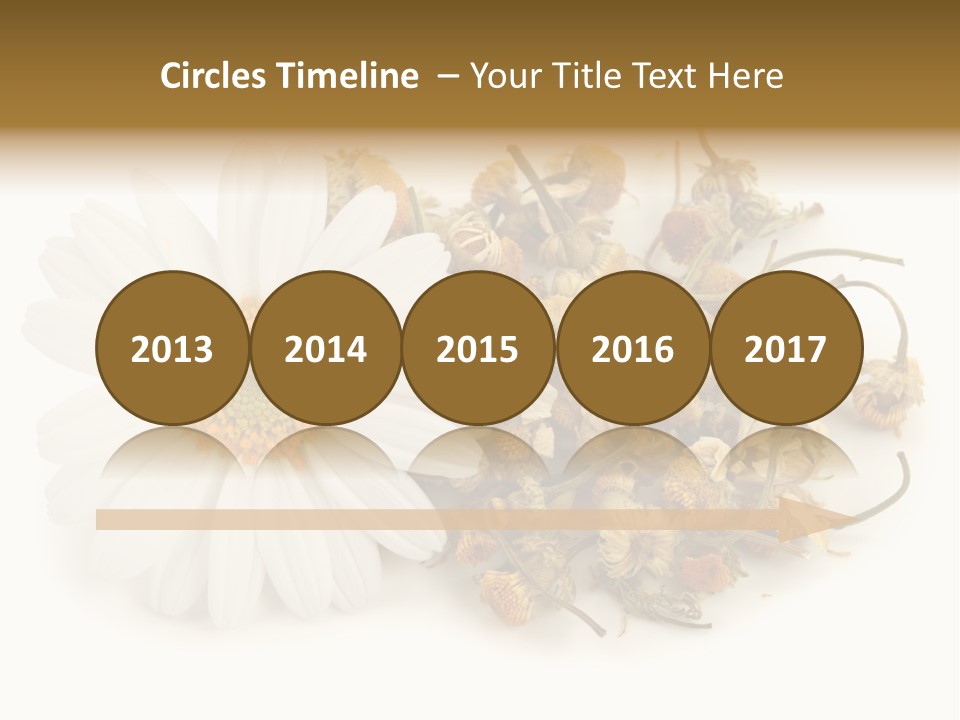 White Natural Nature PowerPoint Template