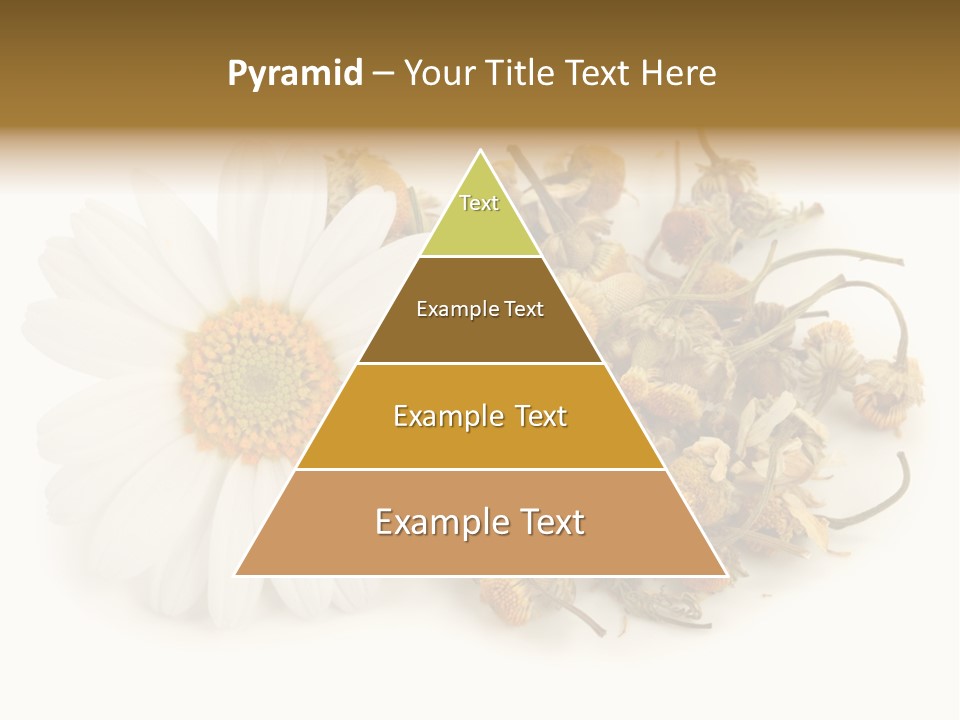 White Natural Nature PowerPoint Template