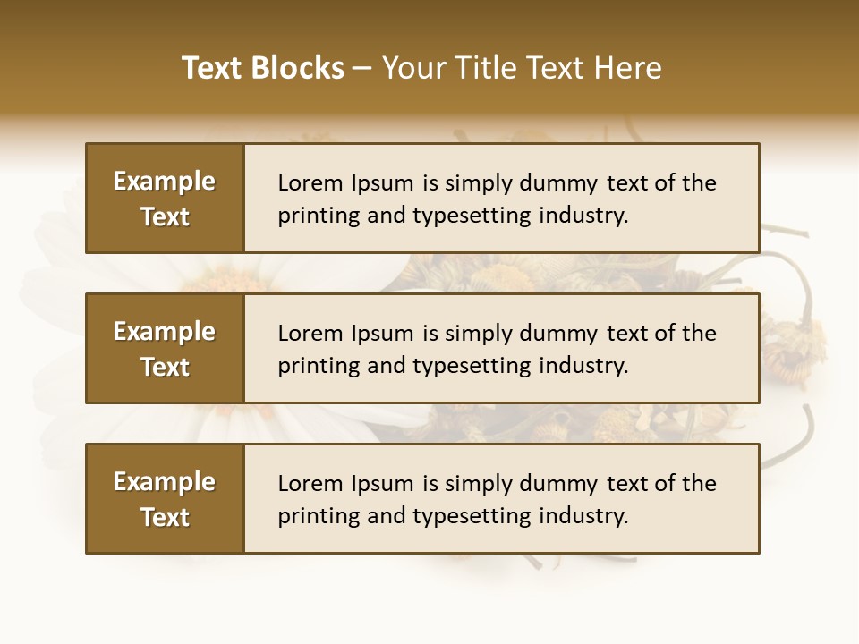 White Natural Nature PowerPoint Template