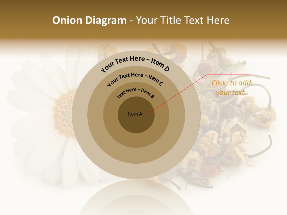 White Natural Nature PowerPoint Template