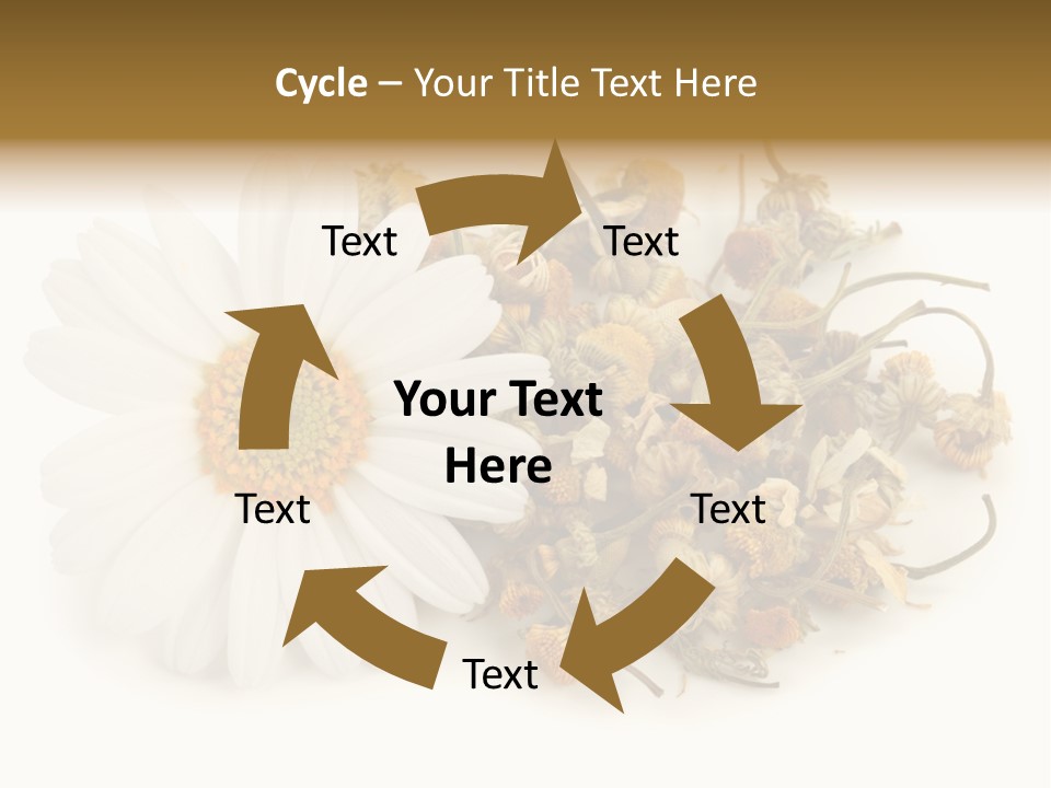 White Natural Nature PowerPoint Template