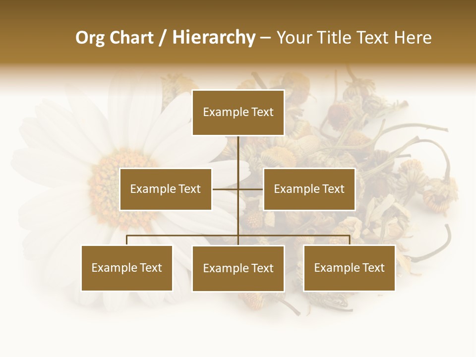 White Natural Nature PowerPoint Template