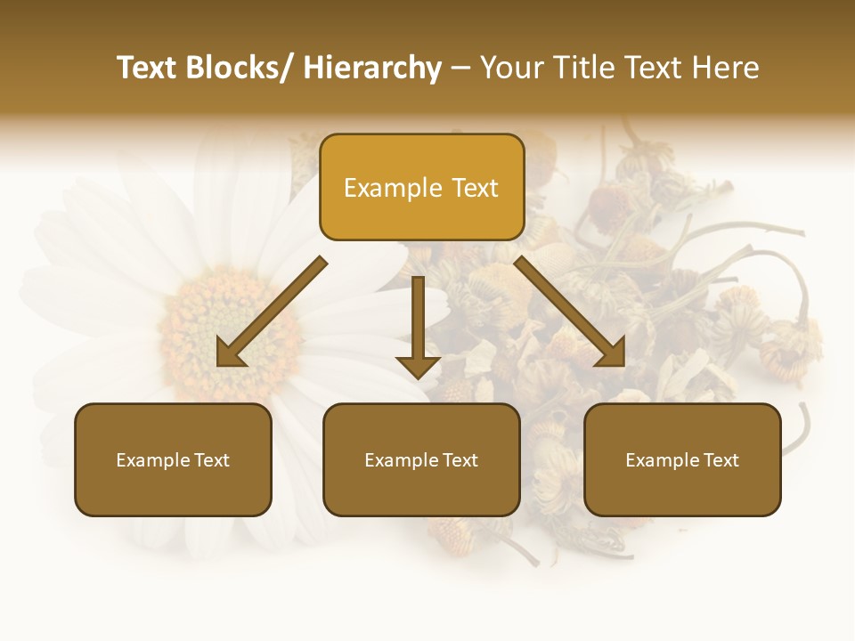 White Natural Nature PowerPoint Template