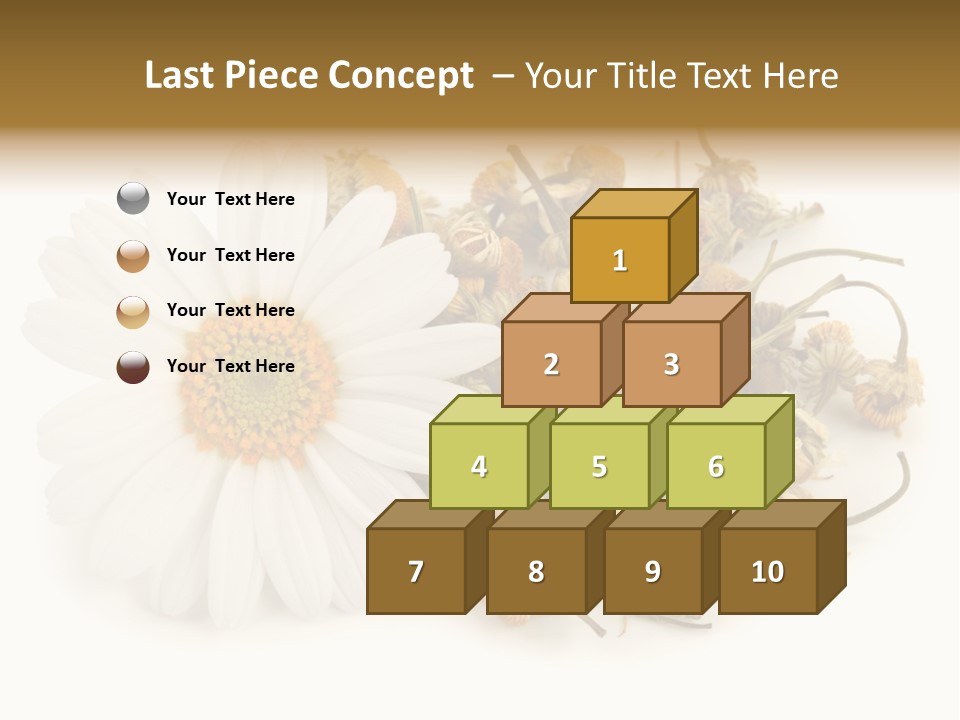 White Natural Nature PowerPoint Template