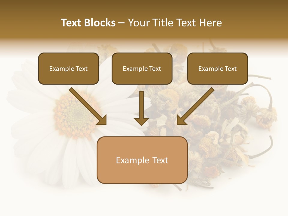 White Natural Nature PowerPoint Template