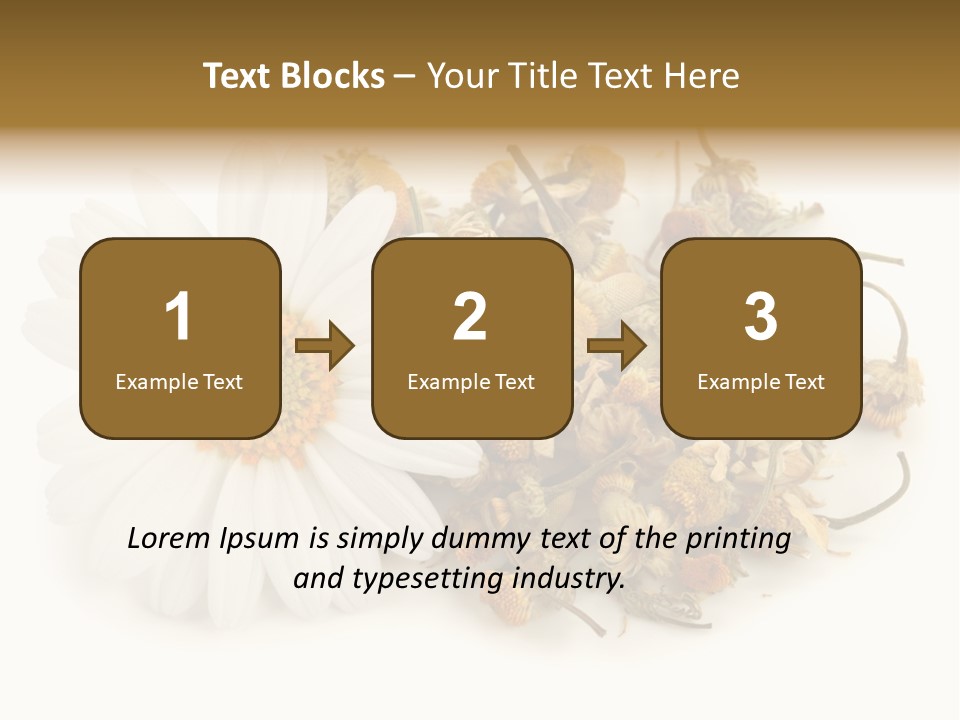 White Natural Nature PowerPoint Template