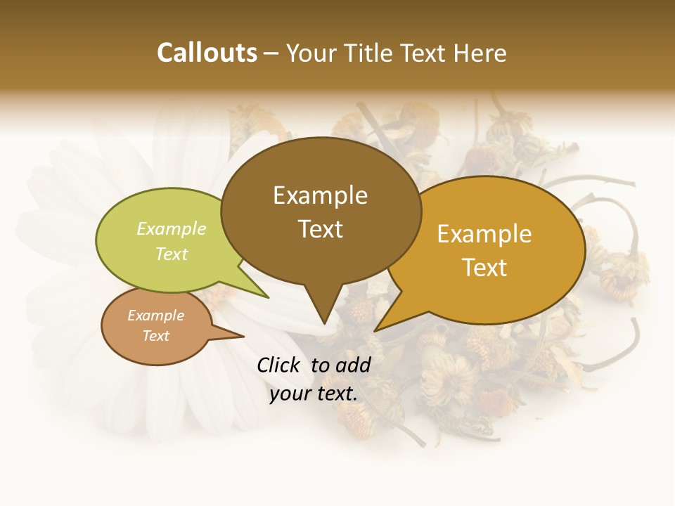 White Natural Nature PowerPoint Template