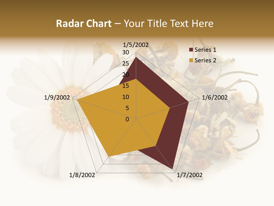 White Natural Nature PowerPoint Template