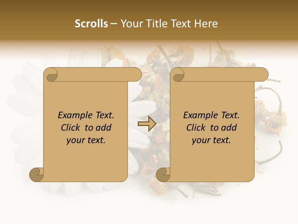 White Natural Nature PowerPoint Template