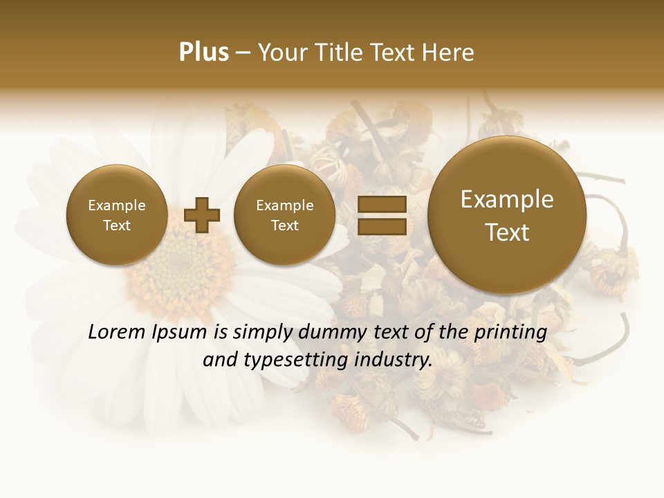 White Natural Nature PowerPoint Template