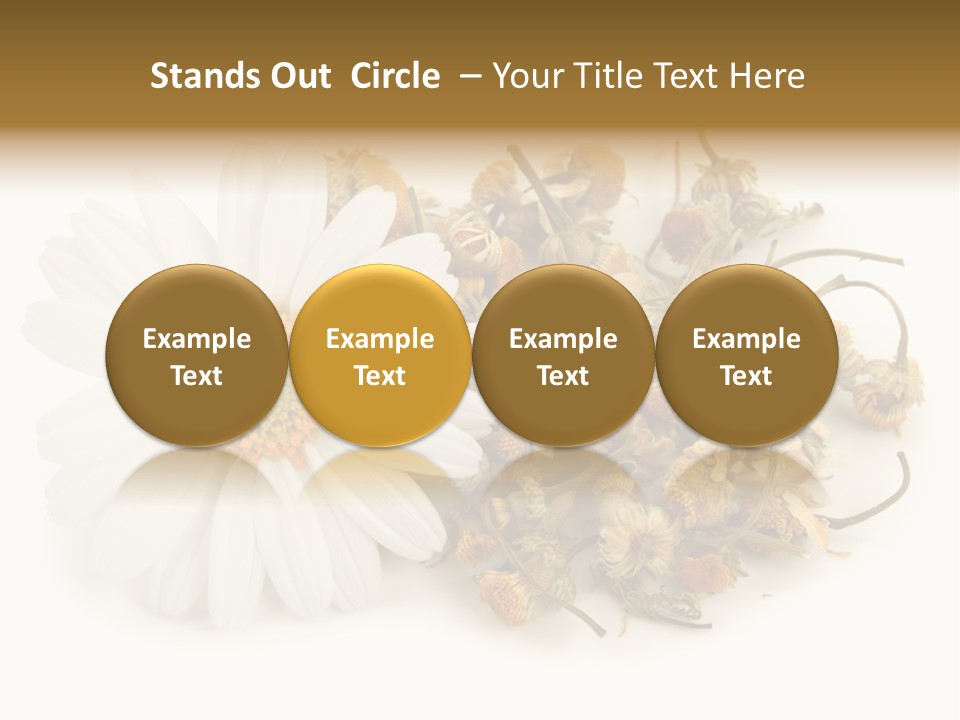 White Natural Nature PowerPoint Template