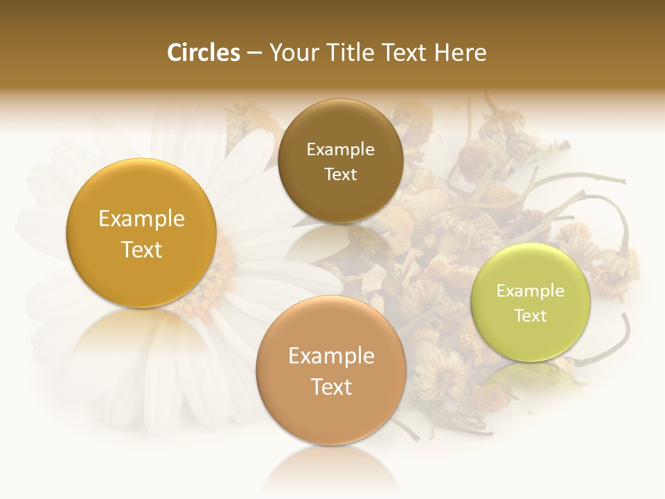 White Natural Nature PowerPoint Template