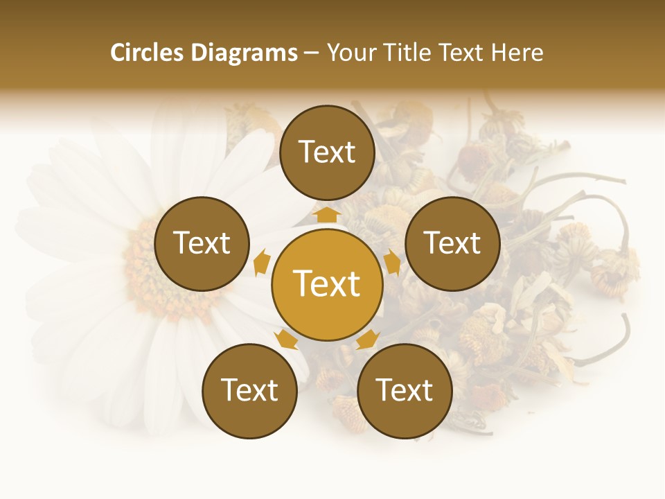 White Natural Nature PowerPoint Template