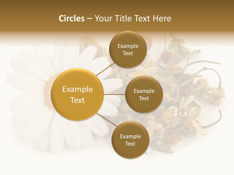 White Natural Nature PowerPoint Template