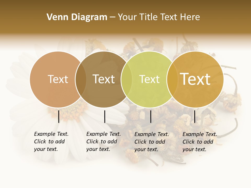 White Natural Nature PowerPoint Template