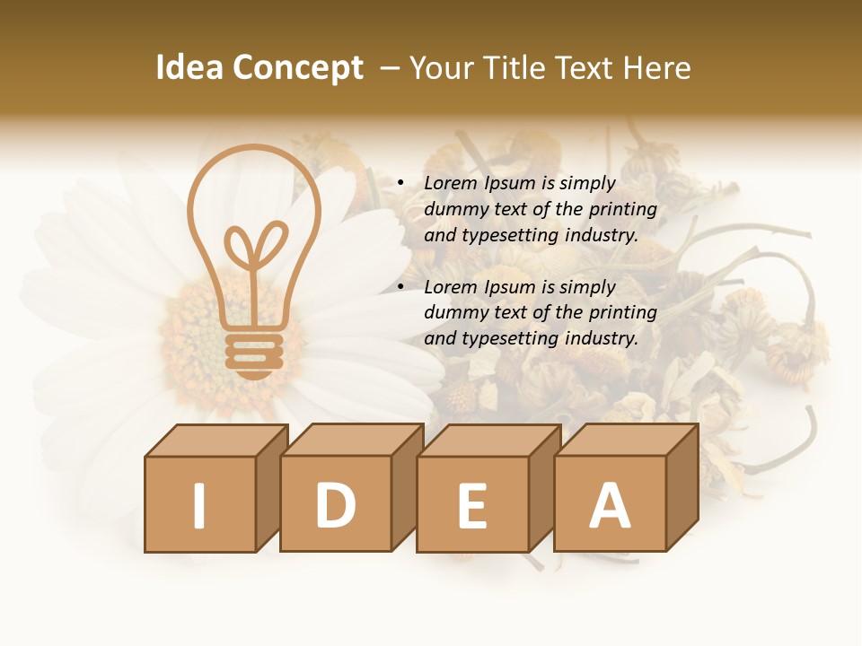 White Natural Nature PowerPoint Template