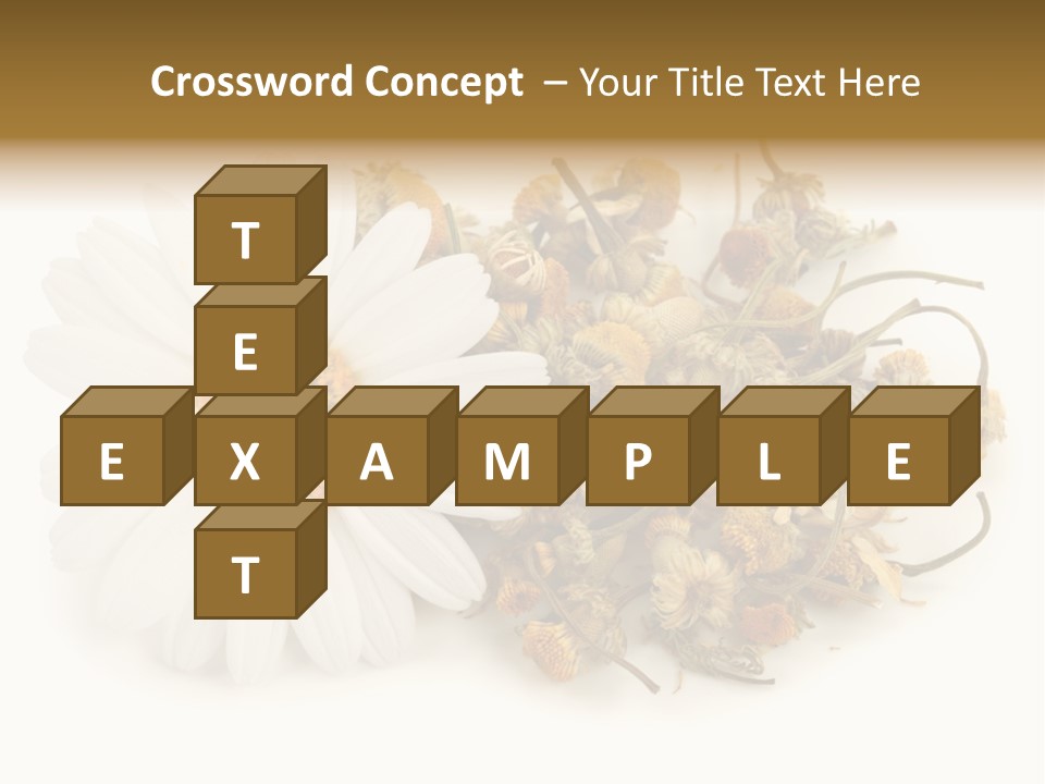 White Natural Nature PowerPoint Template