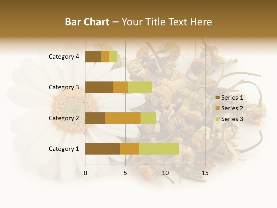 White Natural Nature PowerPoint Template