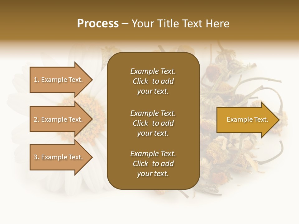 White Natural Nature PowerPoint Template